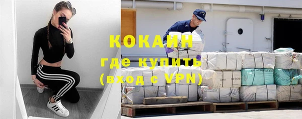 шишки Балахна