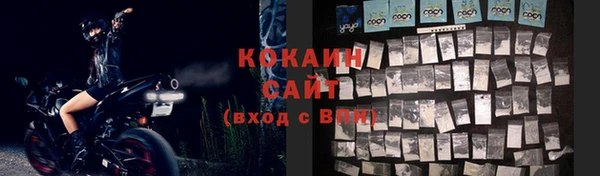 шишки Балахна
