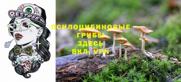 шишки Балахна