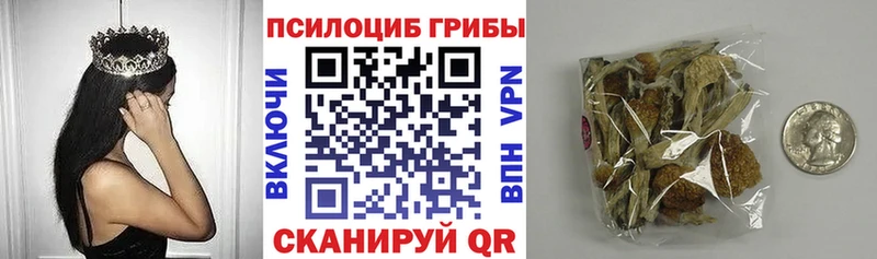 Галлюциногенные грибы Psilocybe  hydra зеркало  Белинский 